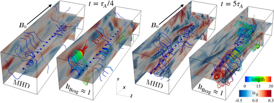 Turbulence in high-beta weakly collisional plasmas becomes "magneto-immutable" – it self-organizes to resist changes to the magnetic-field strength. This figure compares streamlines of the flow in MHD and in weakly collisional turbulence (ItBrag =1), showing how the turbulence becomes "nonlinearly circularly polarized".